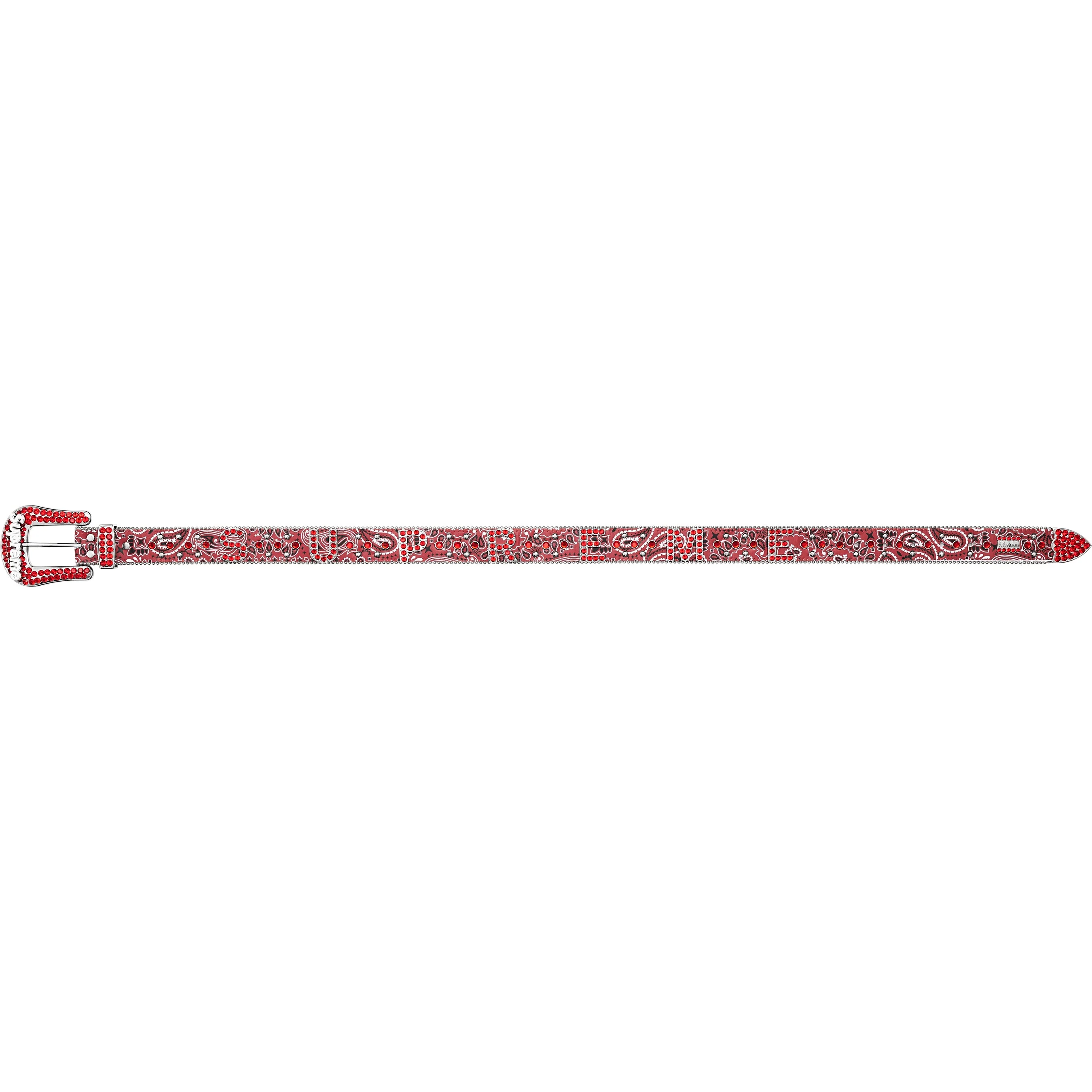 Supreme®/b.b. Simon® Bandana Belt view 30
